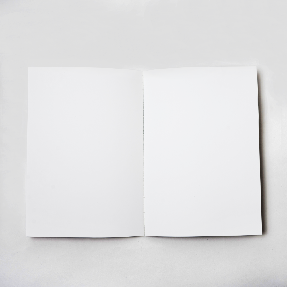 Echoes of Life Notebook