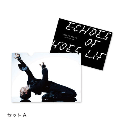Echoes of Life クリアファイル（3枚セット）